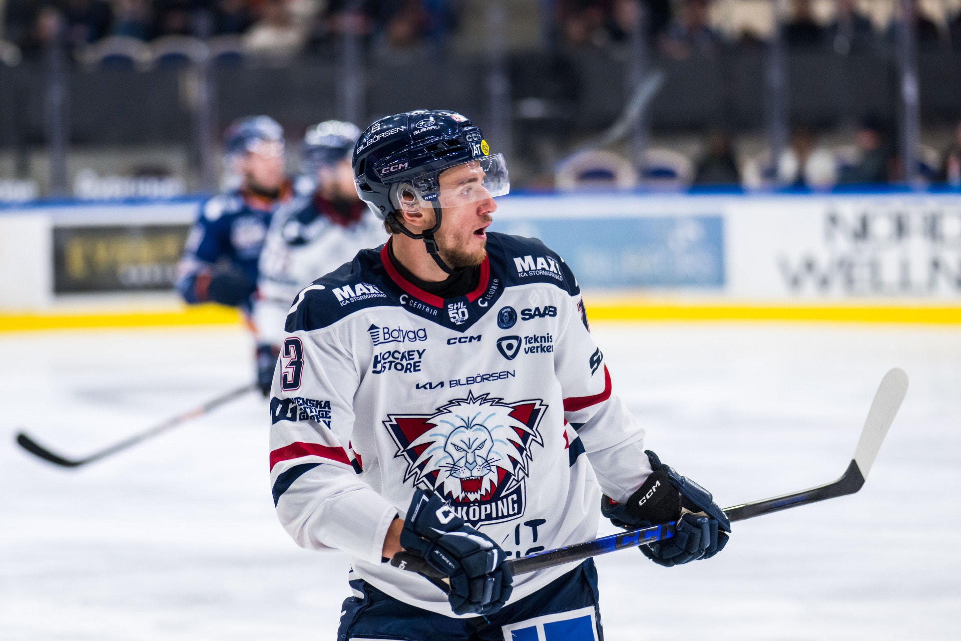 Vrana