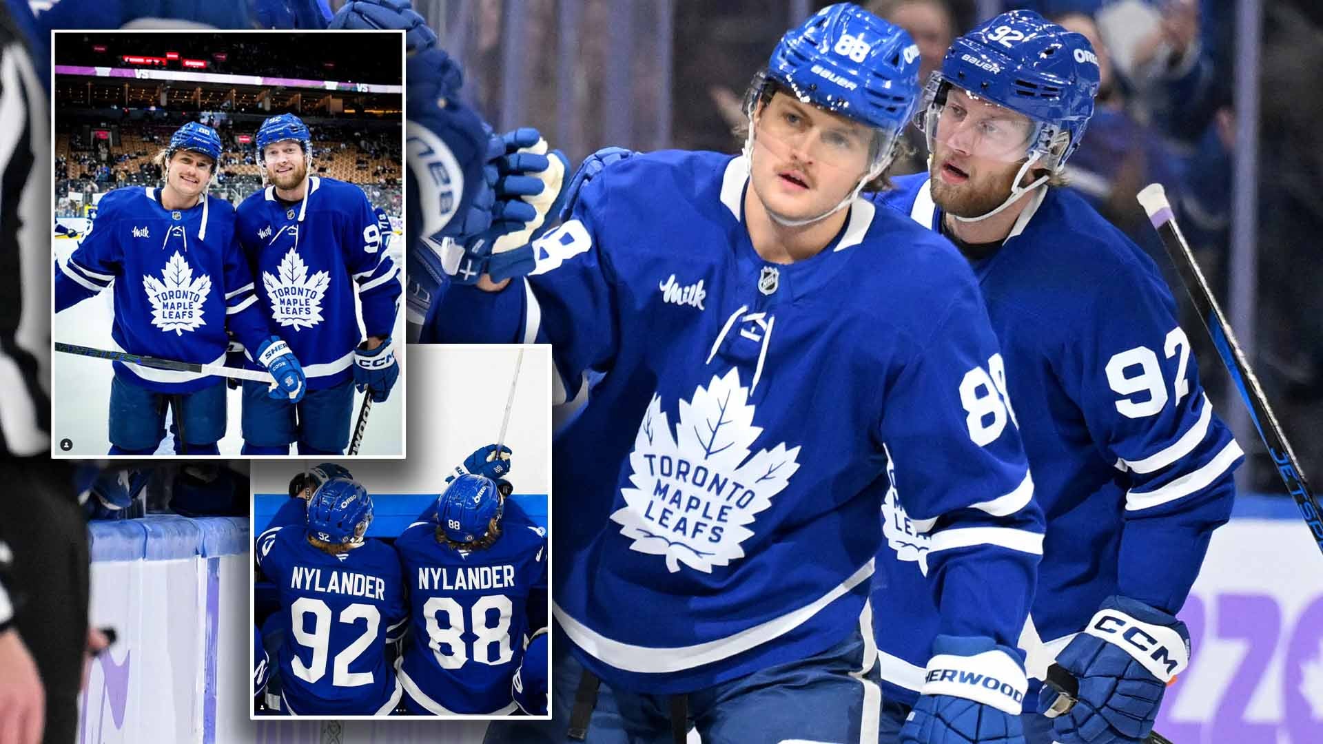 William Alexander Nylander