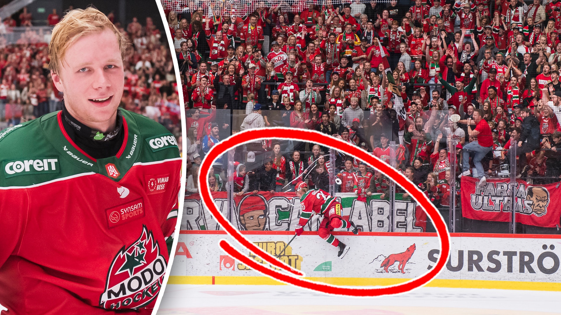 Foto: Jonas Forsberg/Bildbyrån
