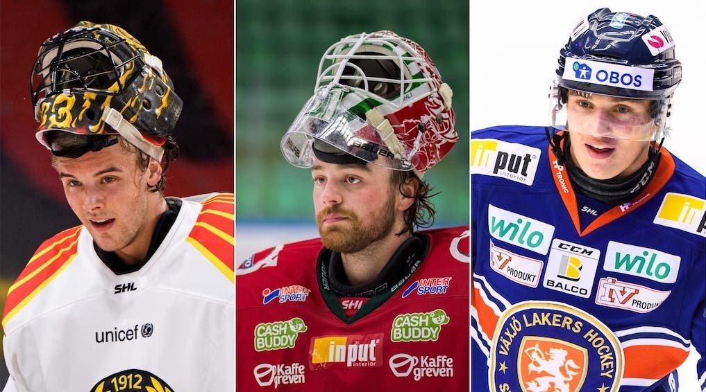 (16166) Ersson/Rubin/Holmberg