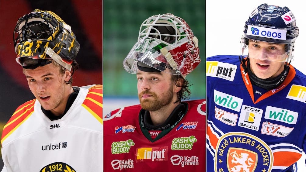 (16166) Ersson/Rubin/Holmberg