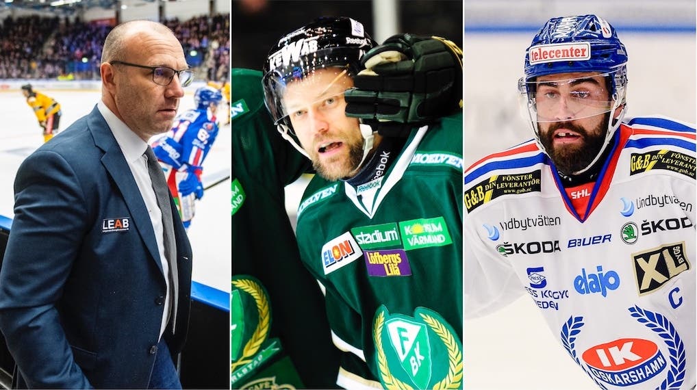 (13301) Hallberg/Prestberg/Alm