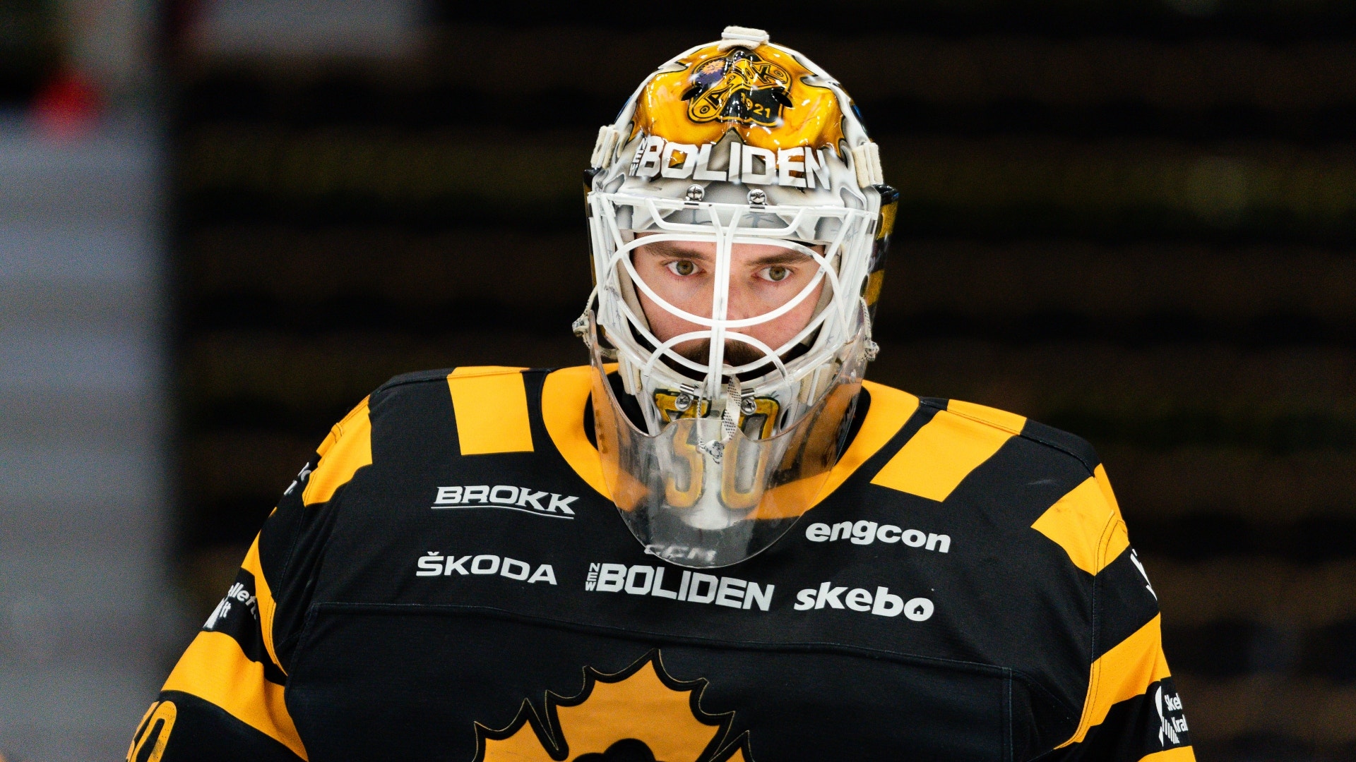 (22281) Gustaf Lindvall Skellefteå