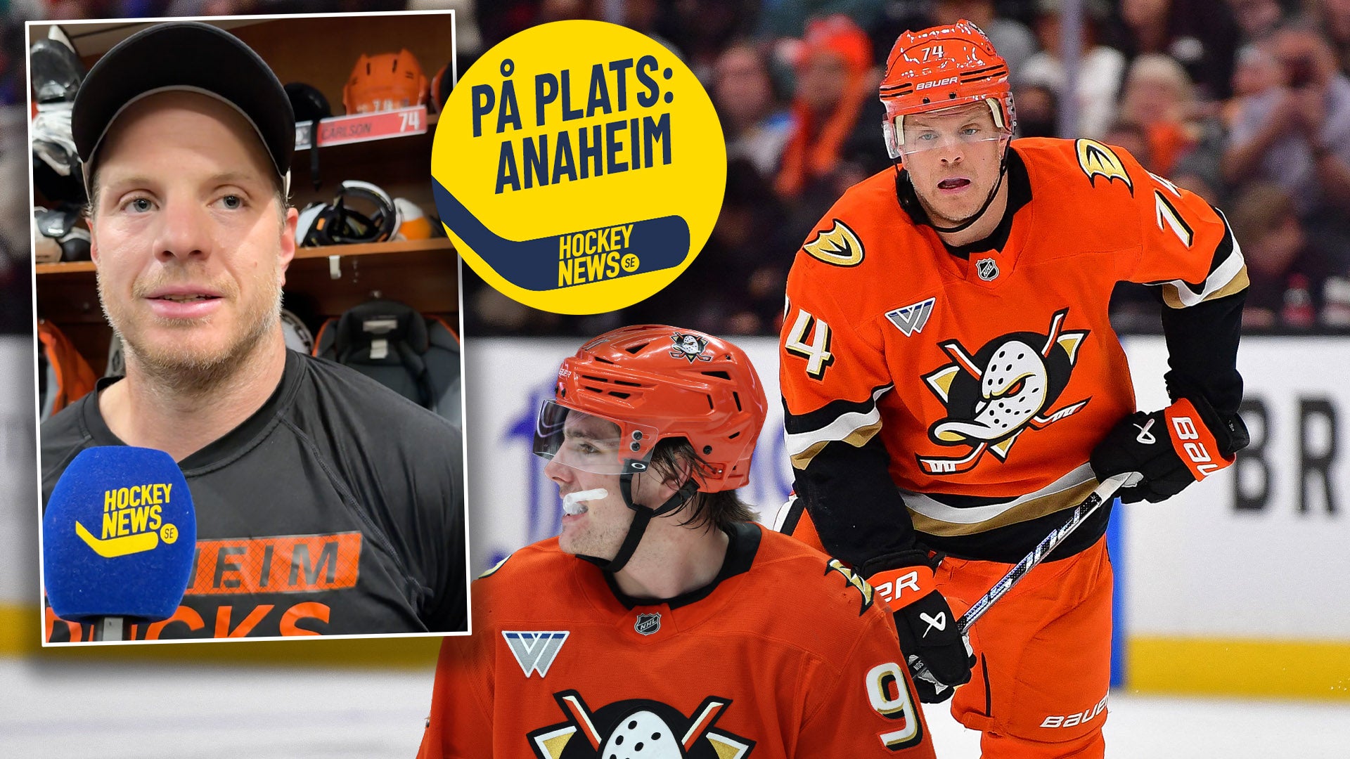 ¨
Foto: Bildbyrån / Henrik Sjöberg