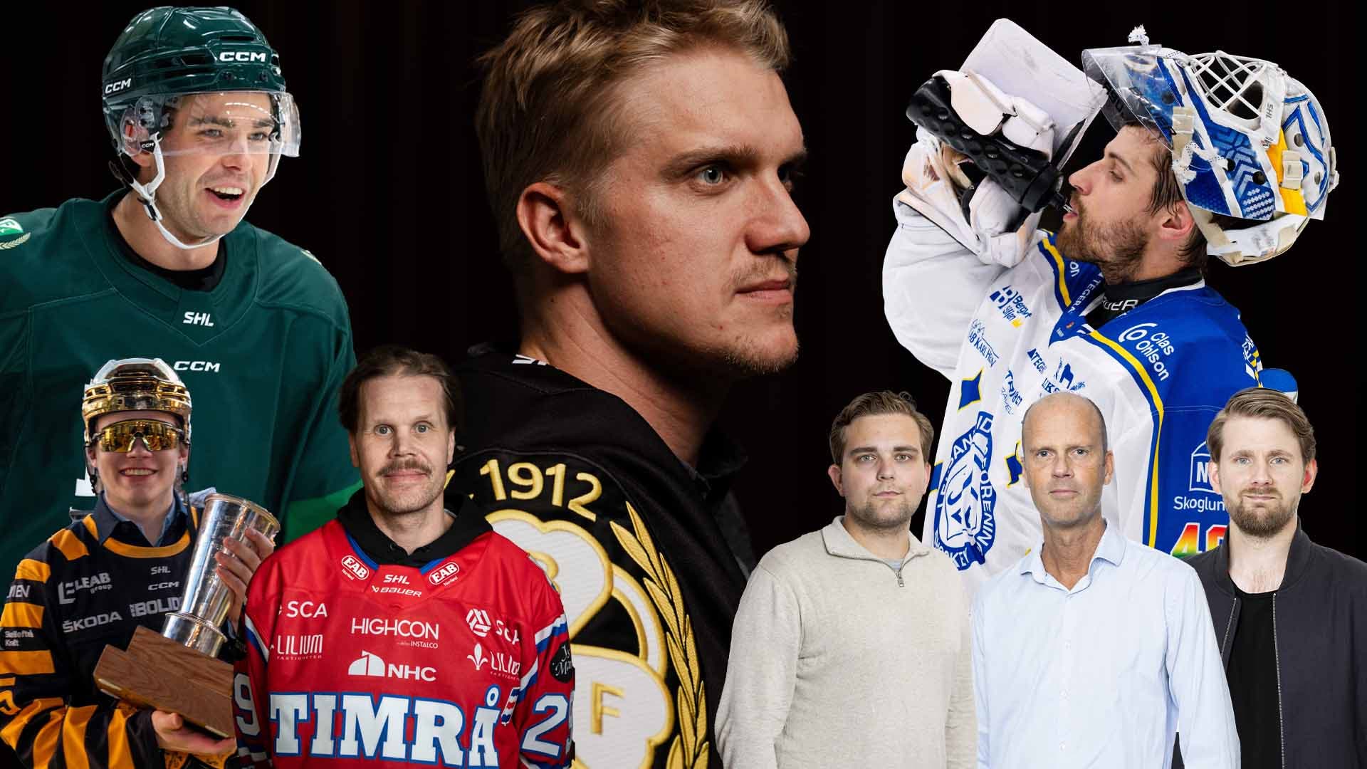 SHL panel