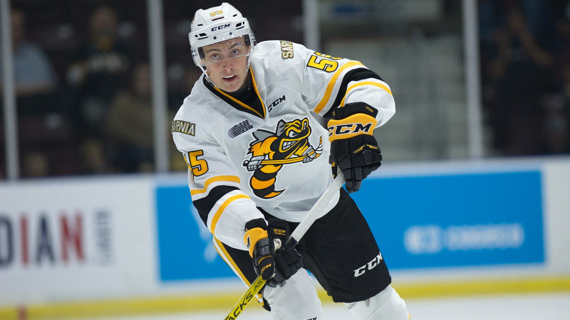 Sarnia Sting Hockey Club
