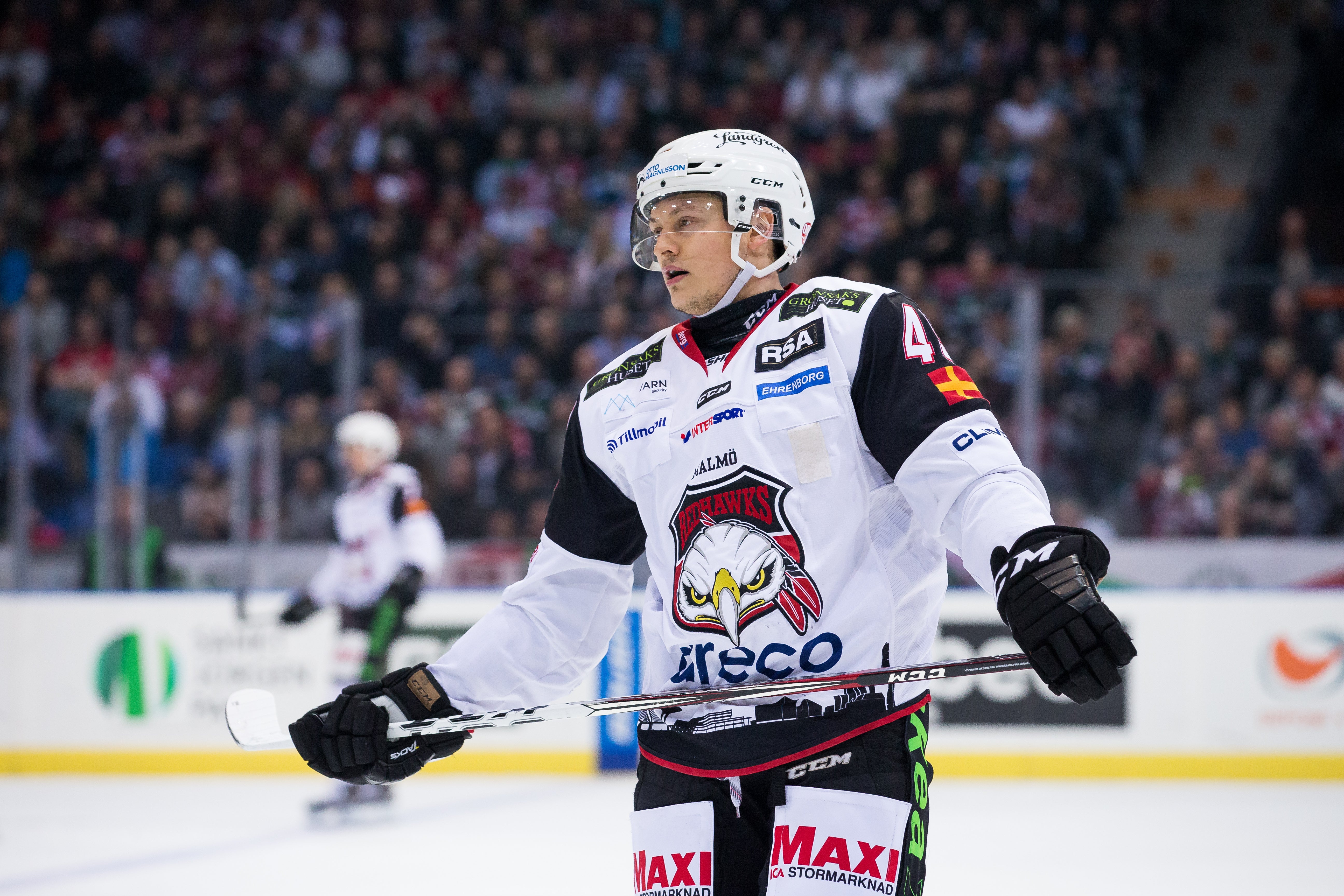 (2931) Rhett Rakhshani3