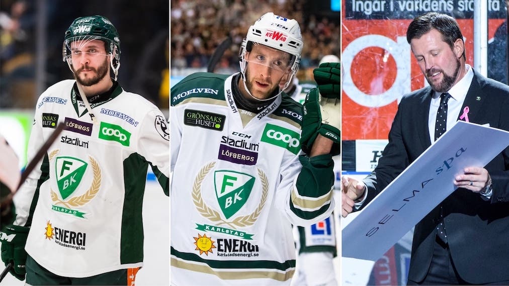 (13860) Virtanen/Åslund/Jakobsson