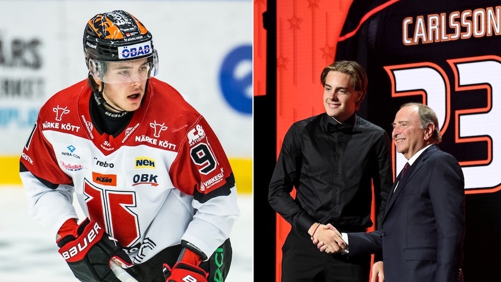 (28609) Leo Carlsson Gary Bettman