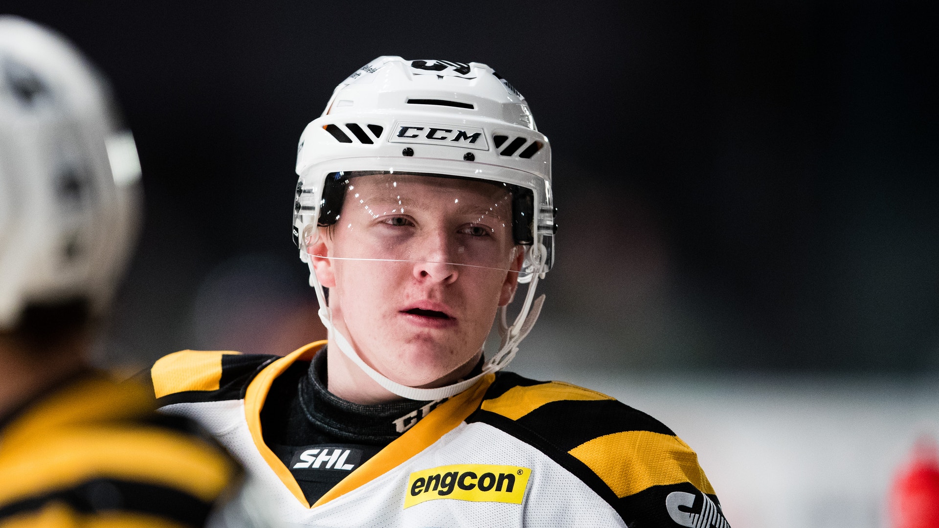 Andreas L Eriksson/Bildbyrån