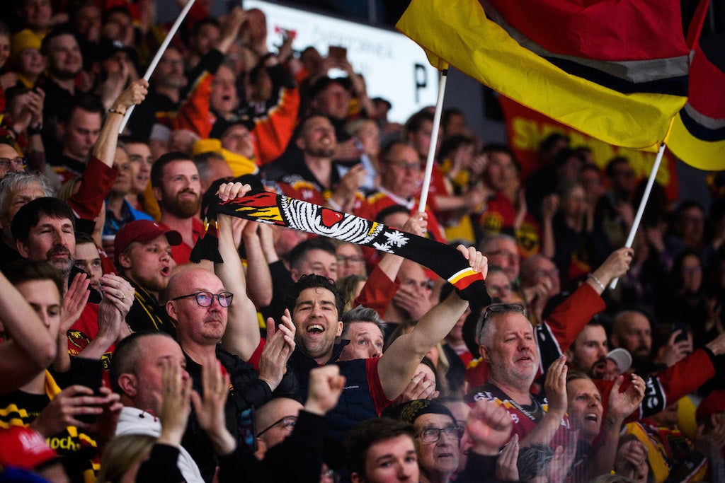 (23518) Luleå publik