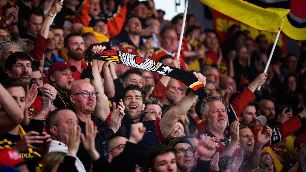 (23518) Luleå publik