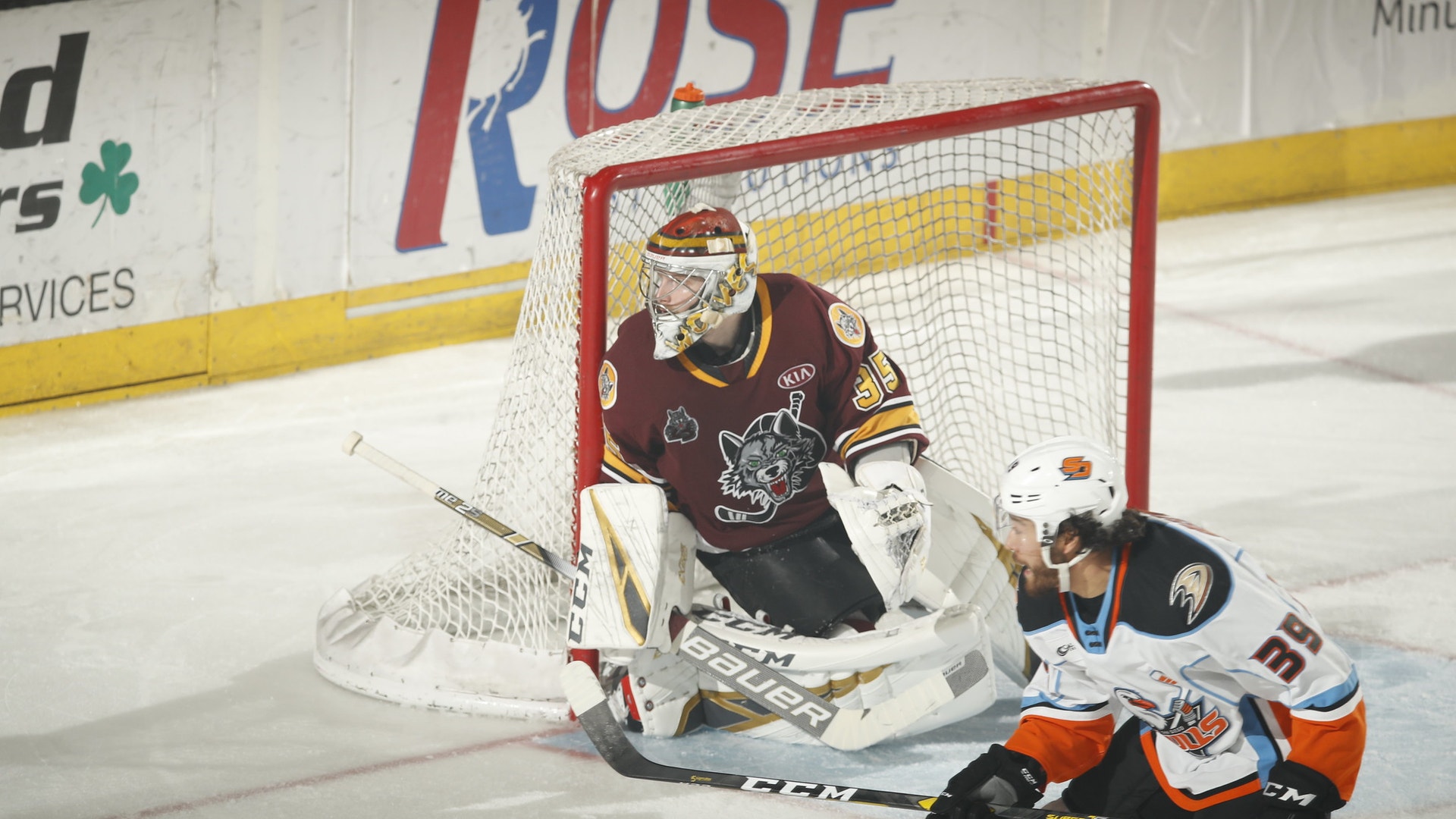 Ross Dettman/Chicago Wolves