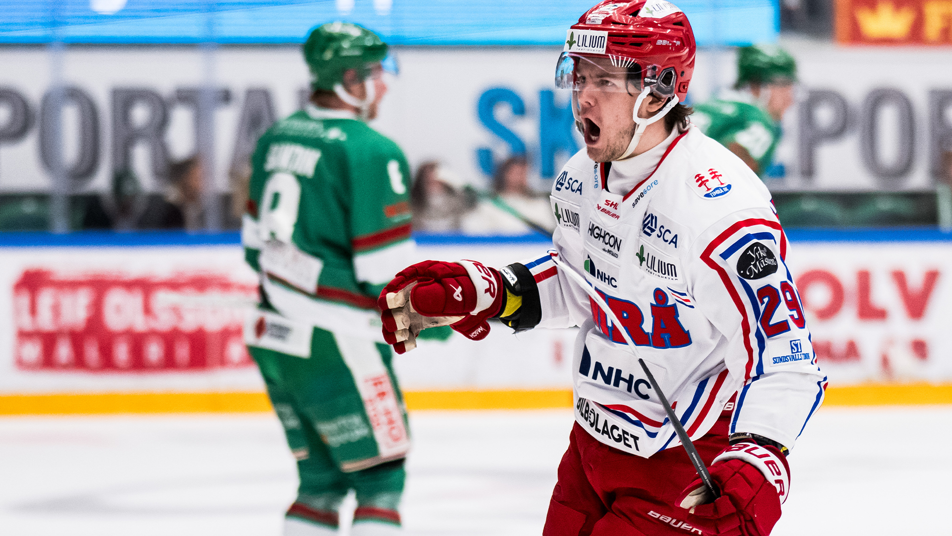 Filip Hållander
