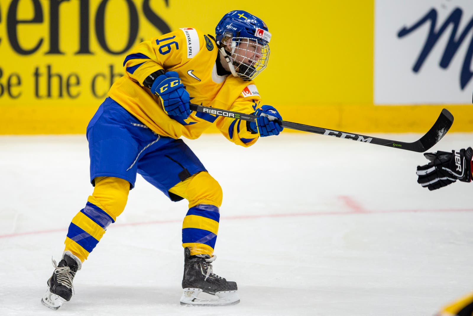 (7817) Pernilla Winberg