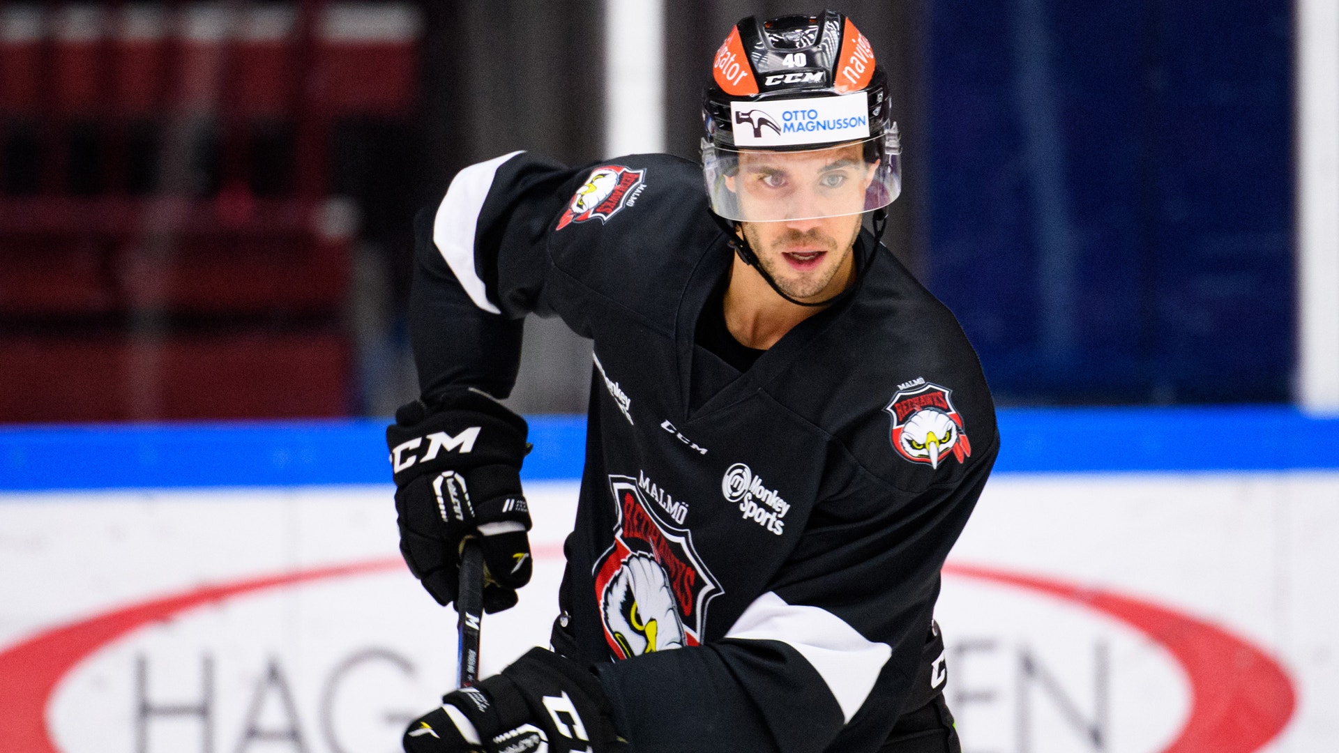 Petter Arvidson/Bildbyrån