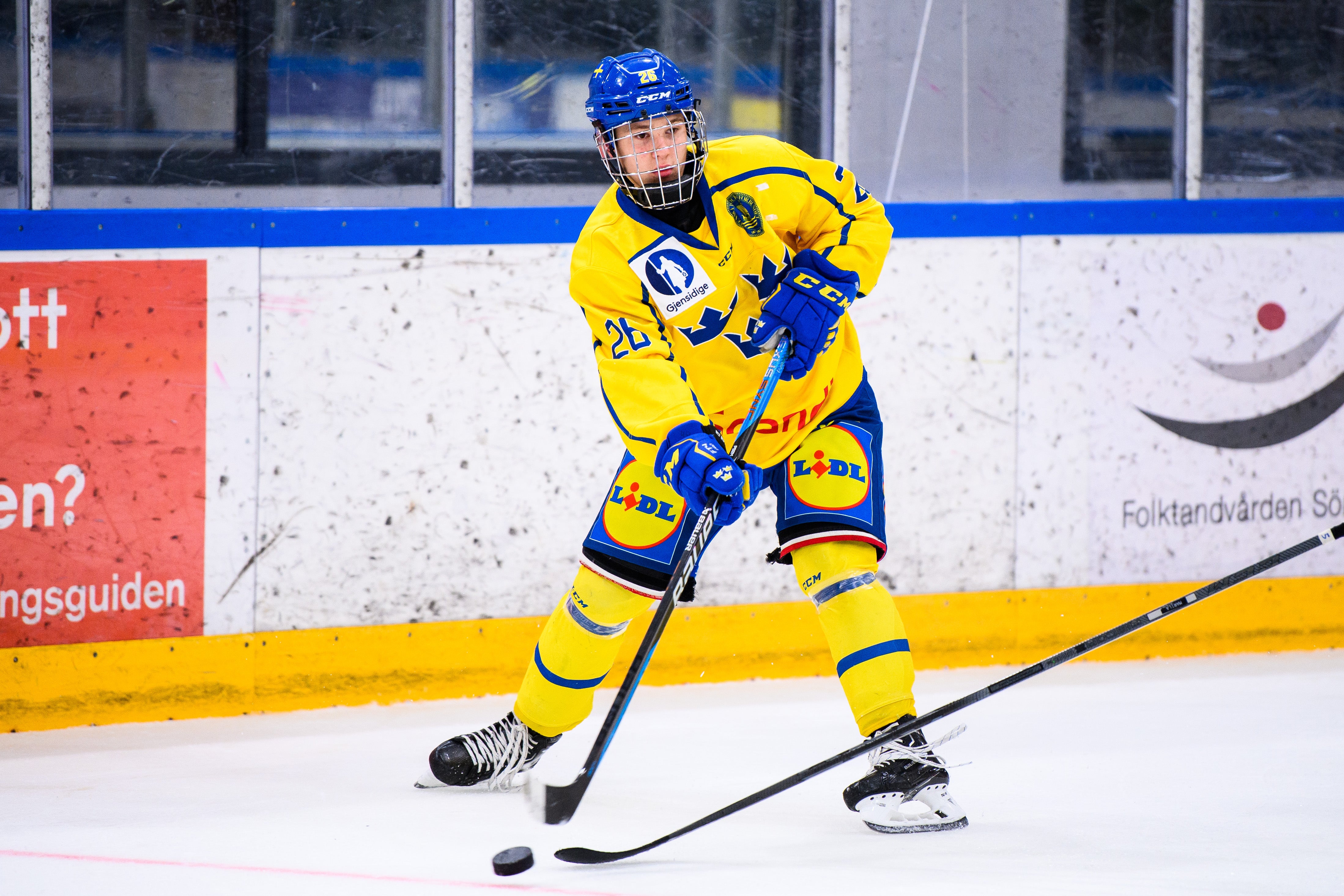 Zetterberg Alexander