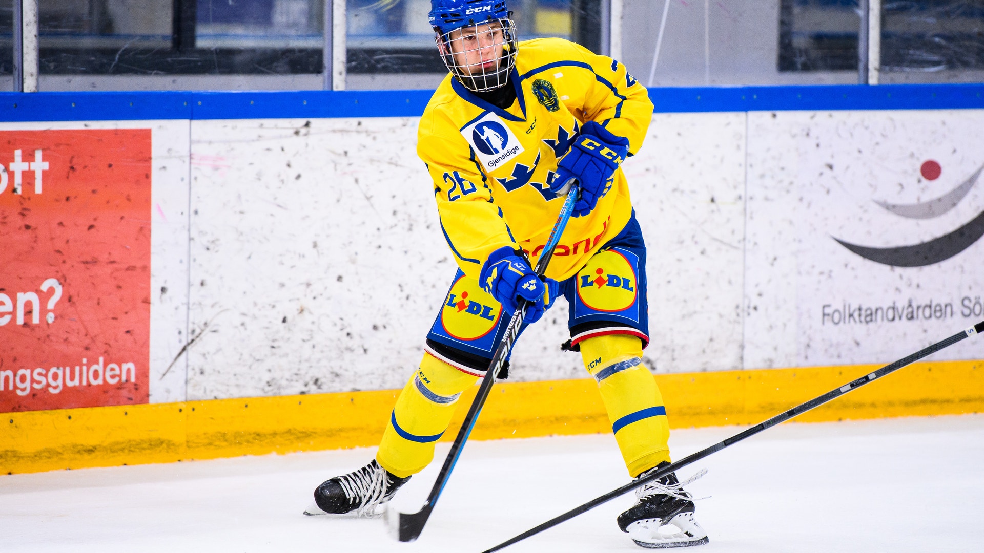 Zetterberg Alexander