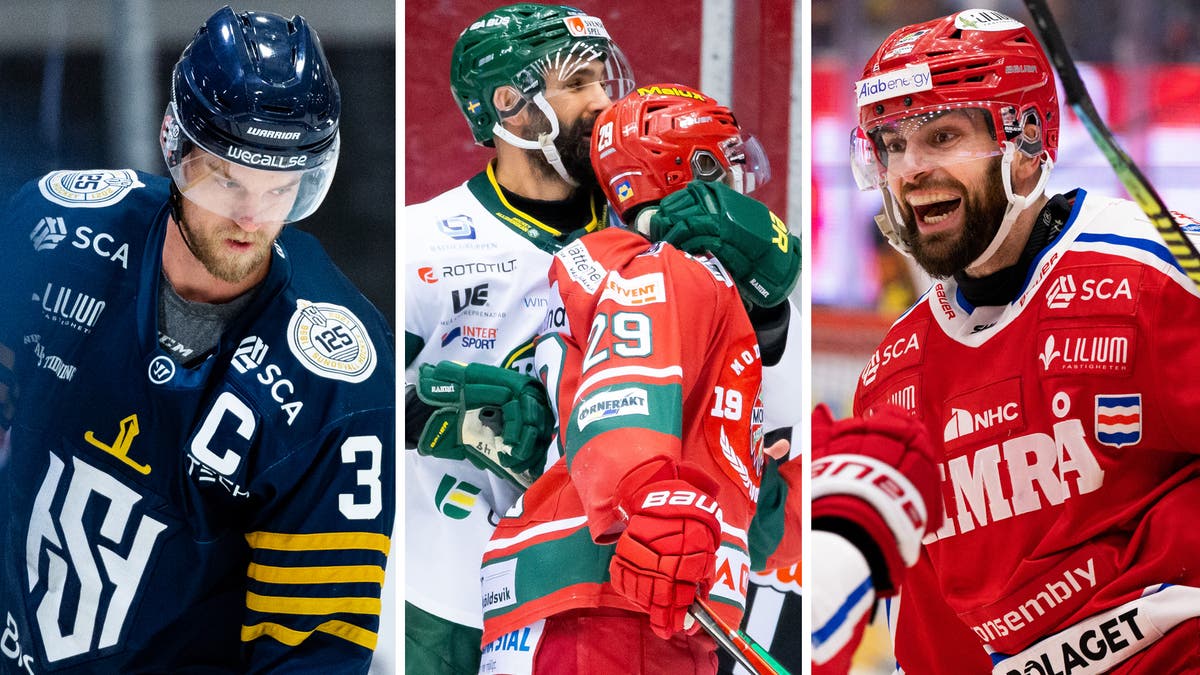 (24462) Anton Gustafsson-Daniel Rahimi-Mikkel Aagaard-Robin Hanzl