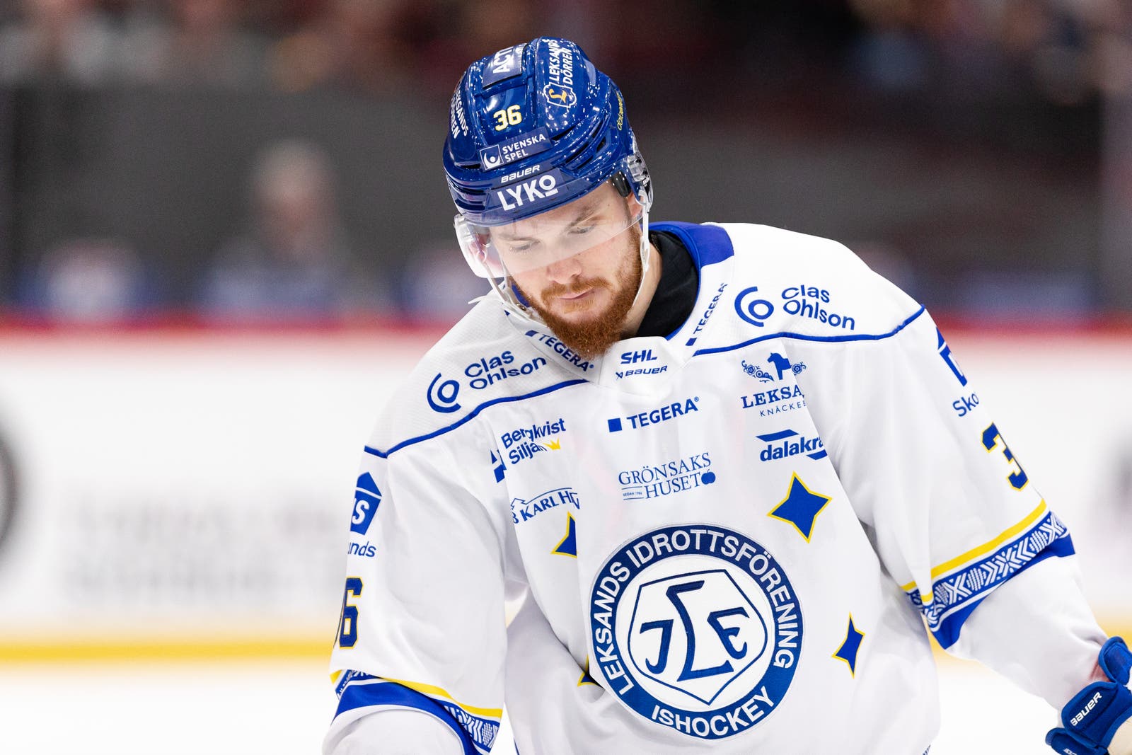 (24978) Lucas Elvenes Leksand