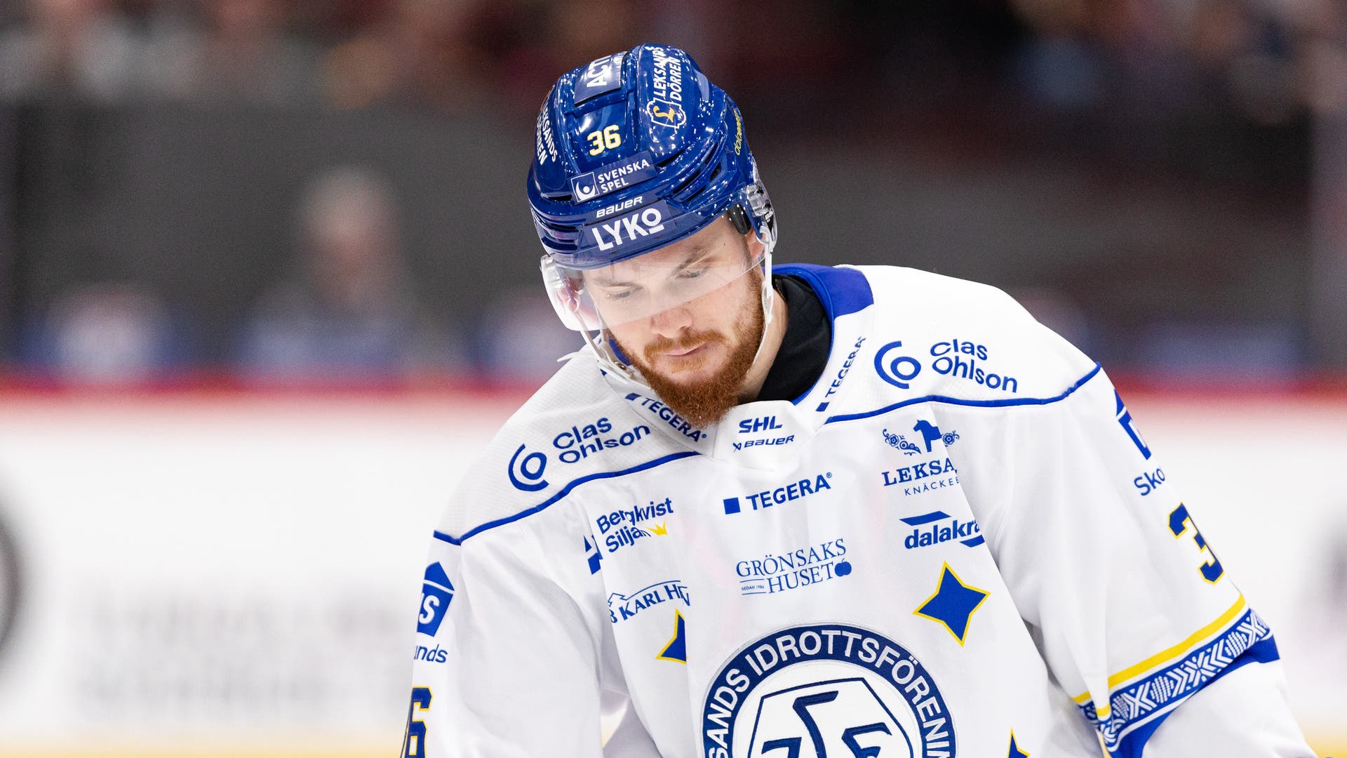 (24978) Lucas Elvenes Leksand