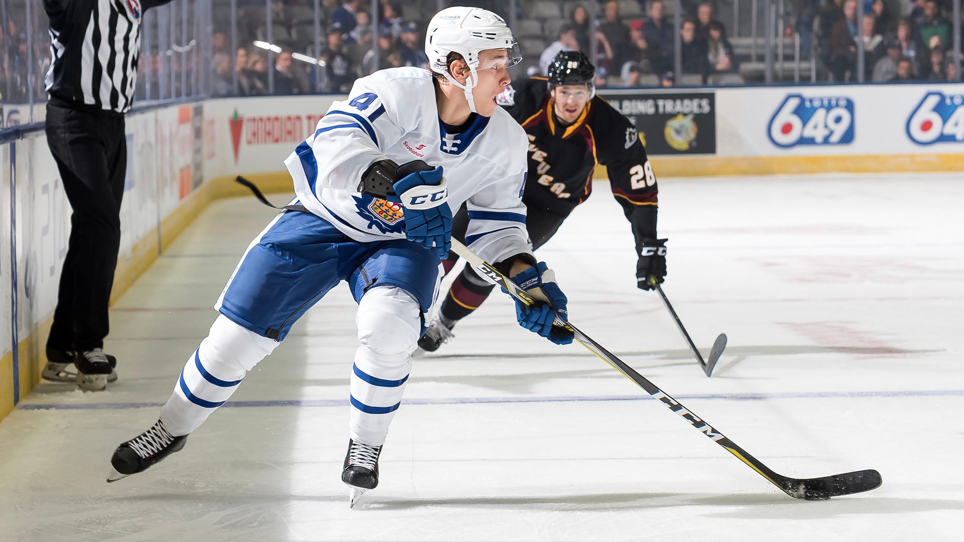 Toronto Marlies