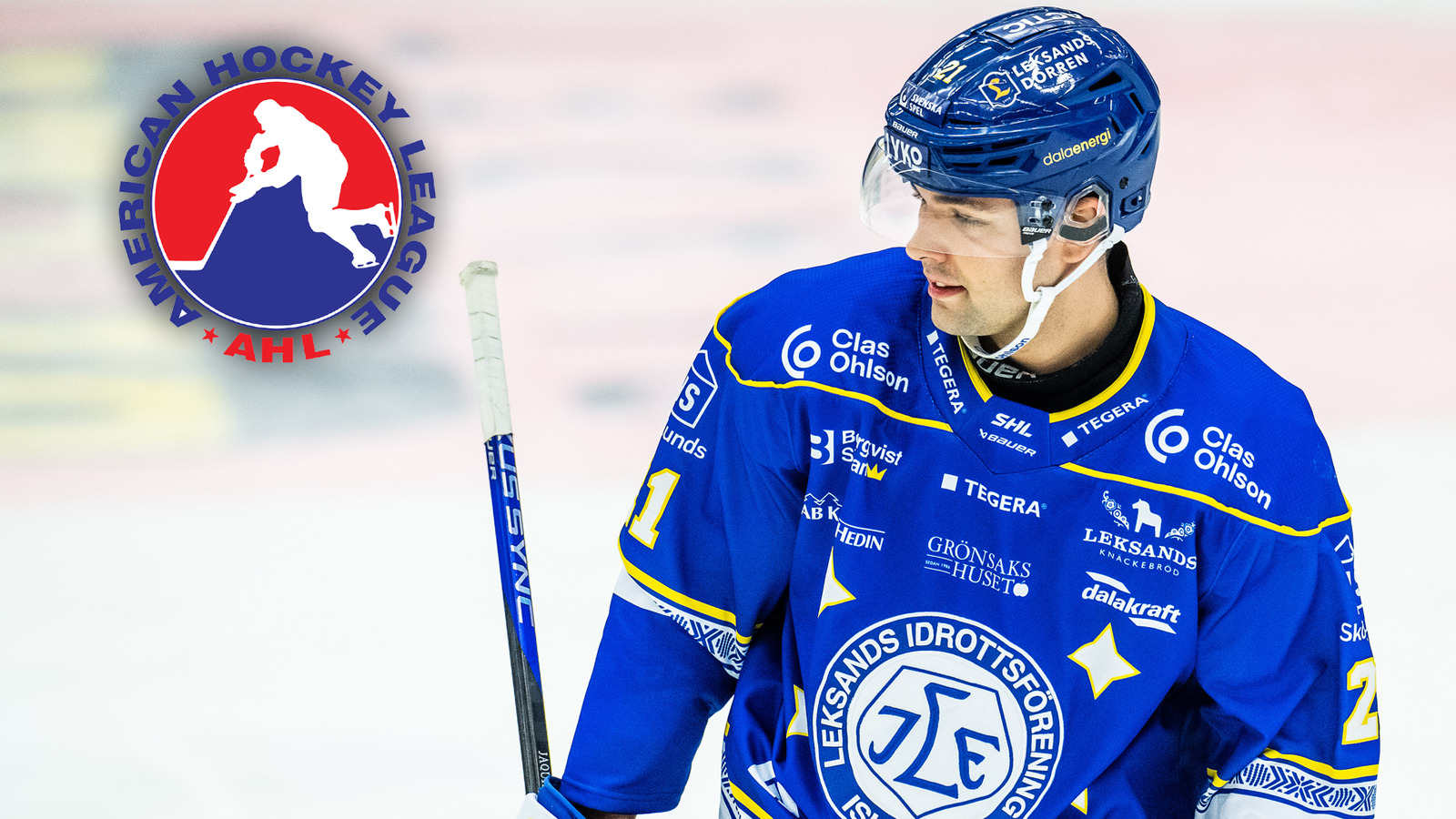 (26386) quenneville_AHL