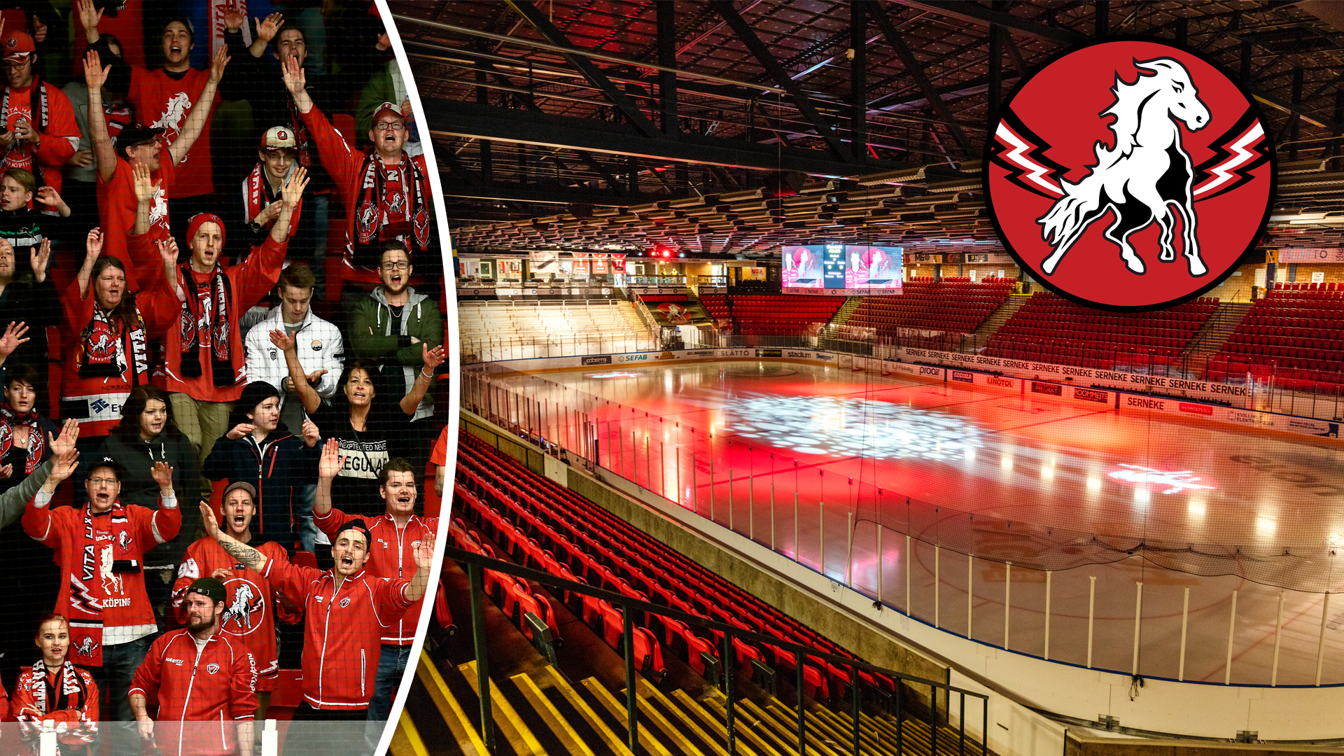 (27605) Vita Hästen