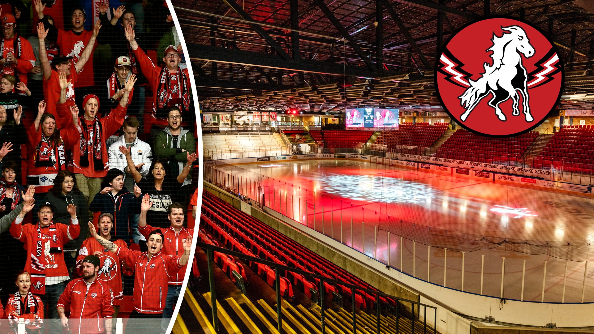 (27605) Vita Hästen