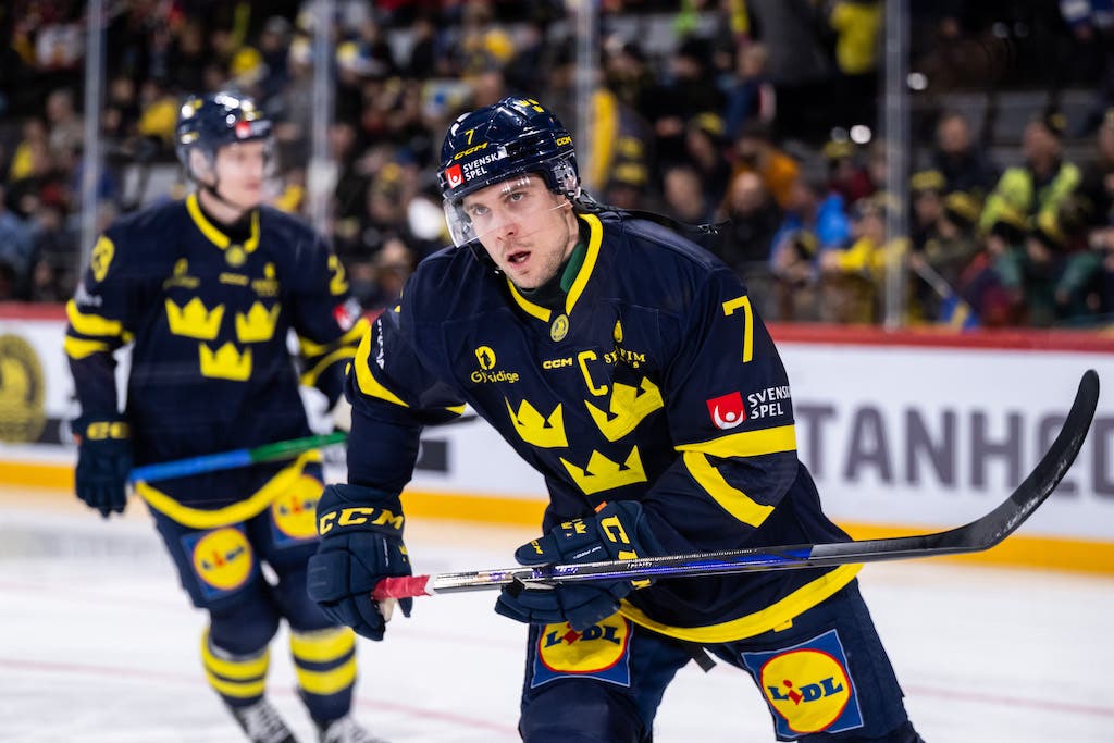 Henrik Tömmernes