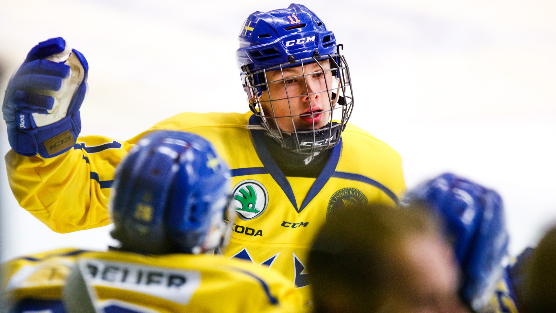 Josefine Loftenius/Bildbyrån