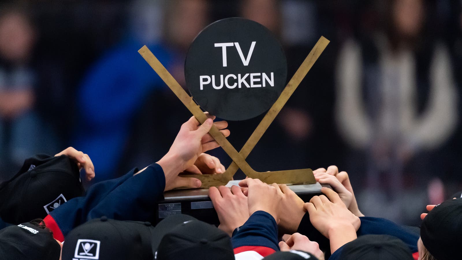 (25248) TV-pucken
