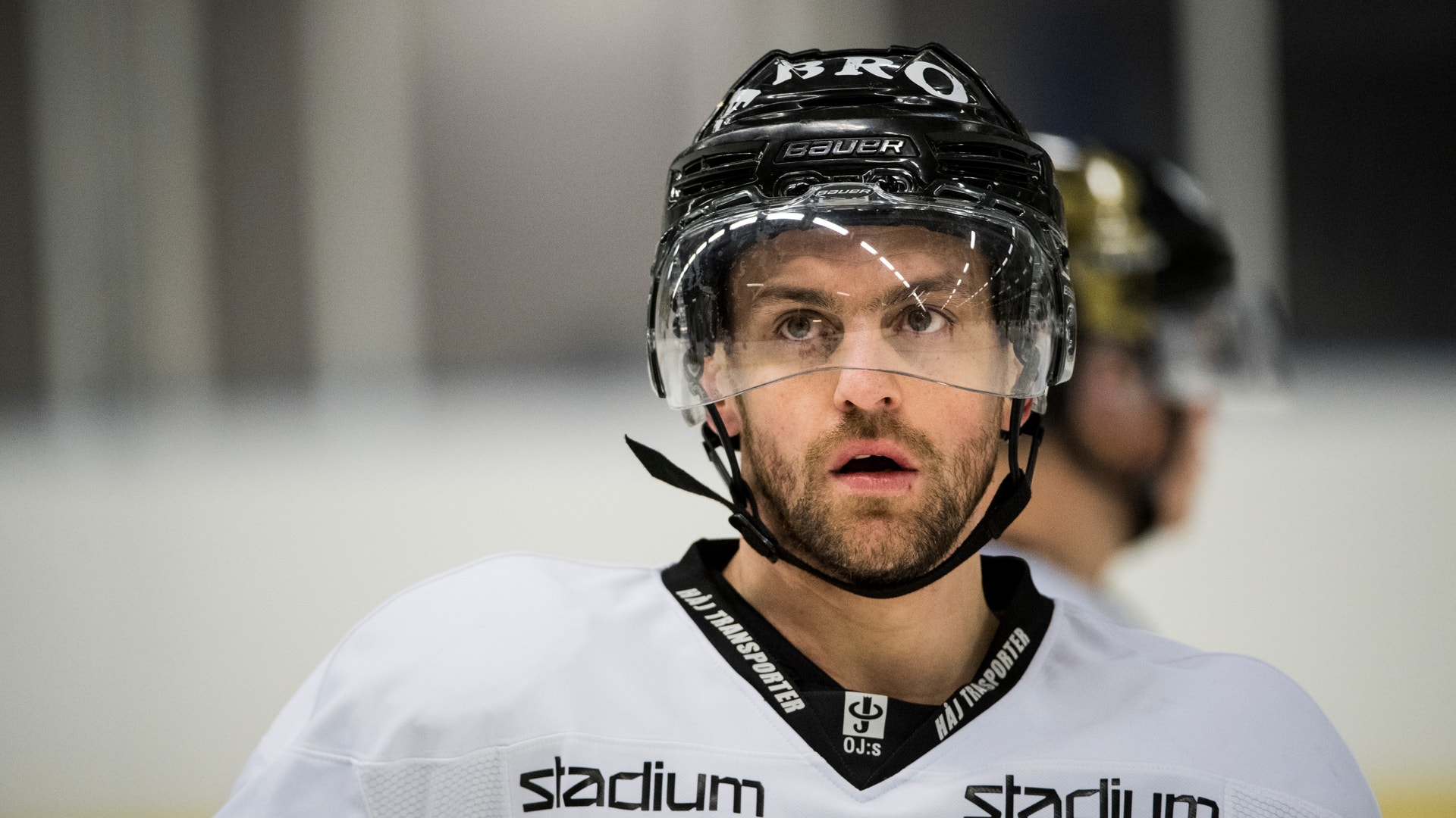 Petter Arvidson / Bildbyrån