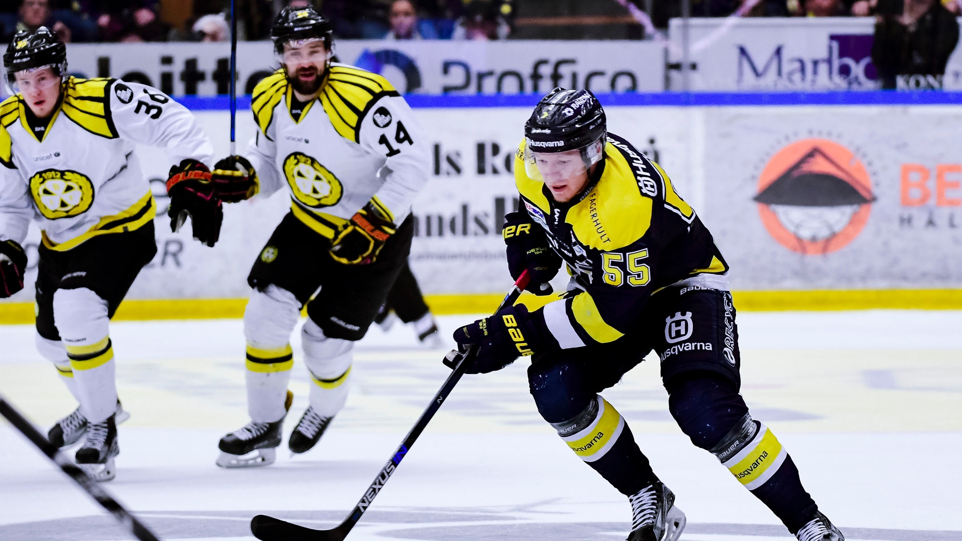 Petter Arvidson / Bildbyrån