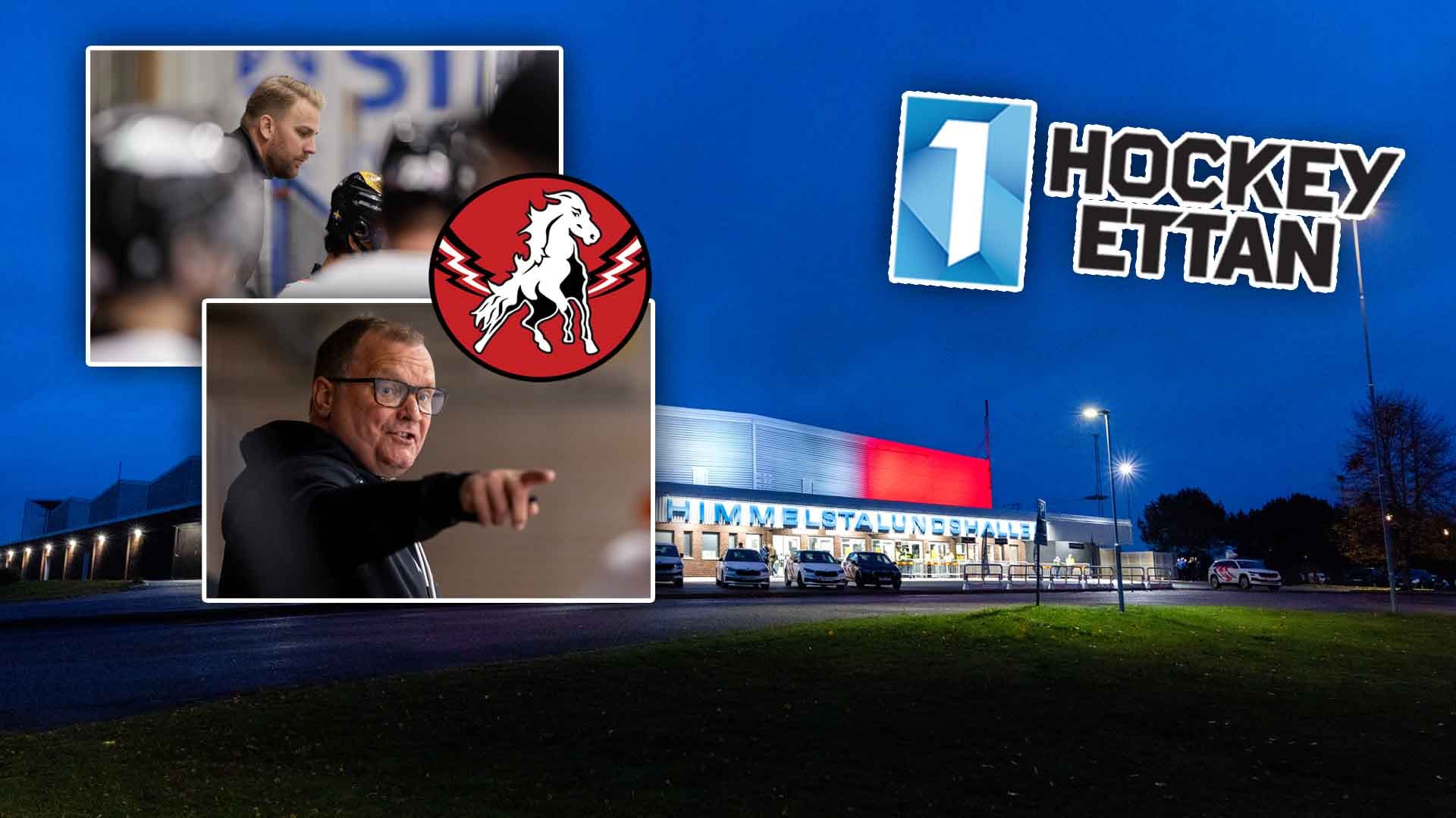 Vita Hästen