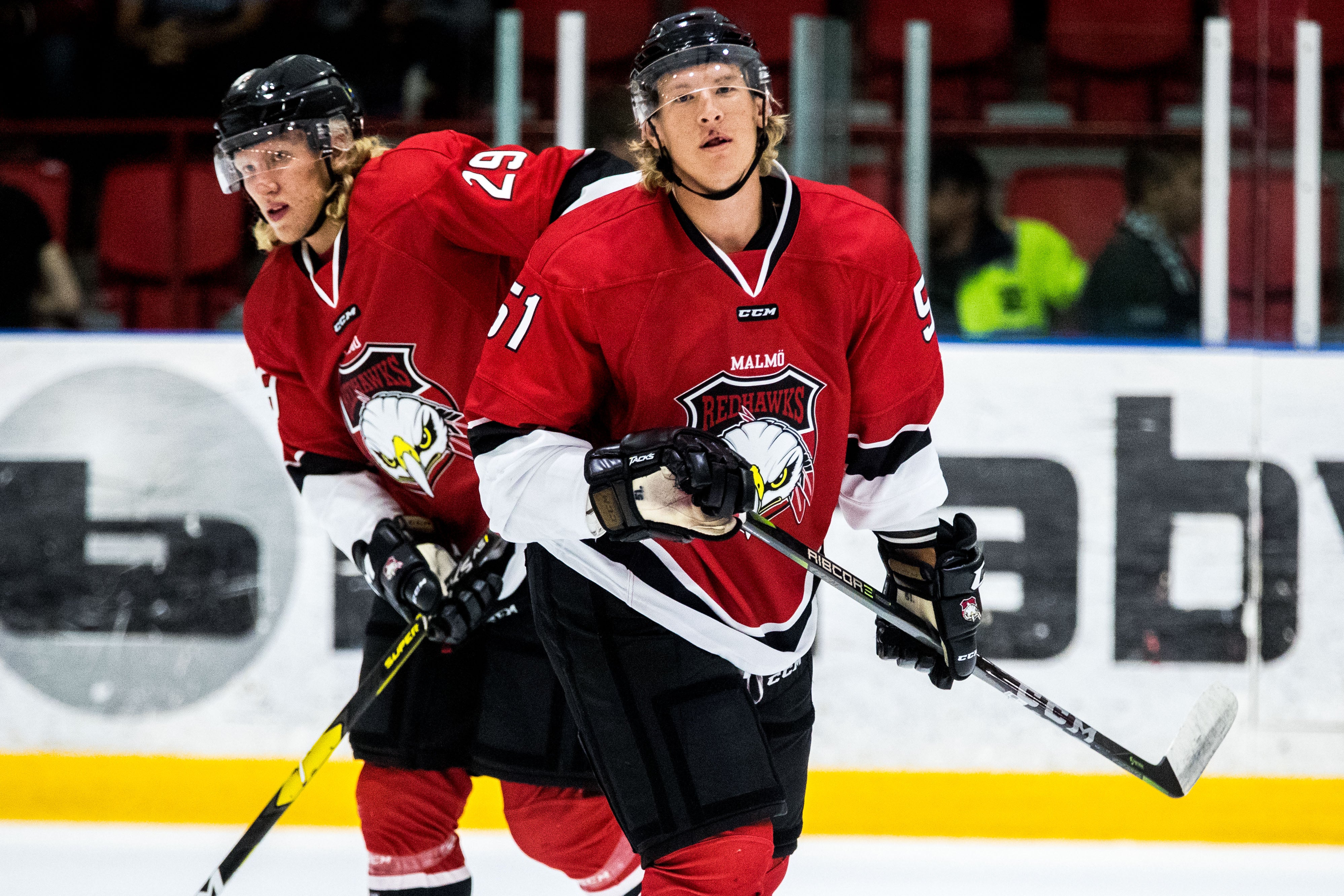 (3705) Bröderna Sylvegård