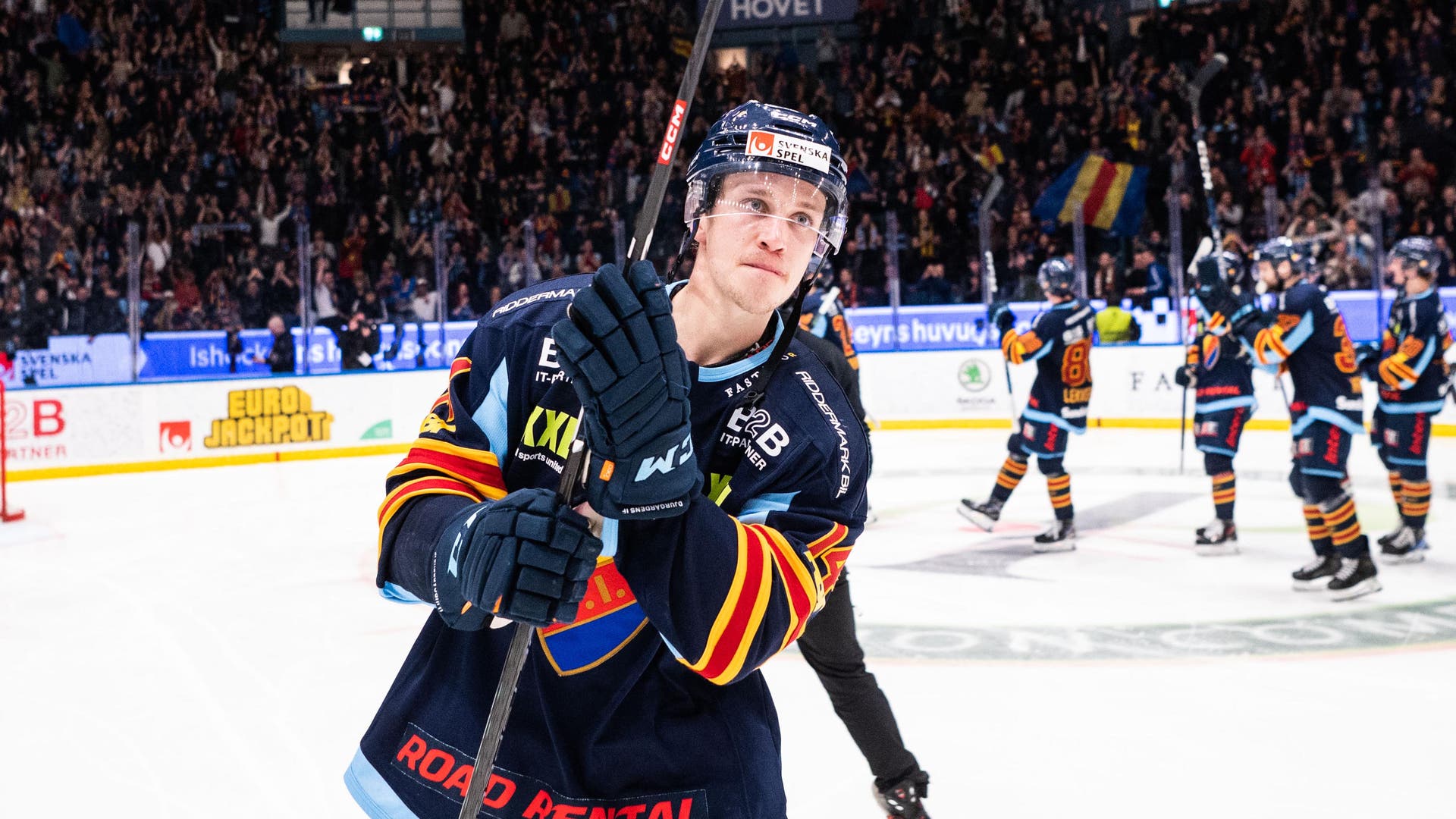 (28244) Lukas Vejdemo