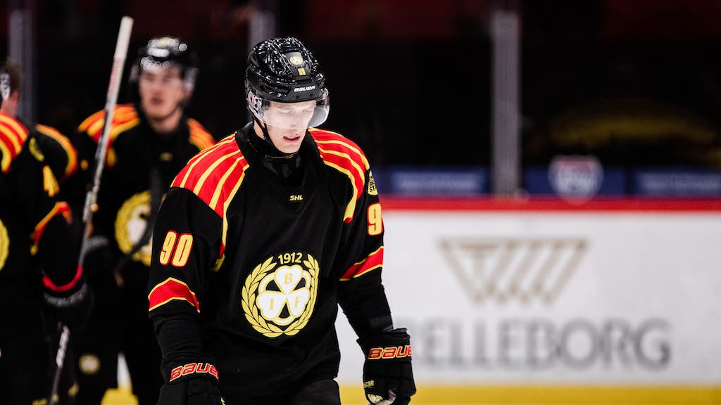 (25780) David Sklenicka Brynäs