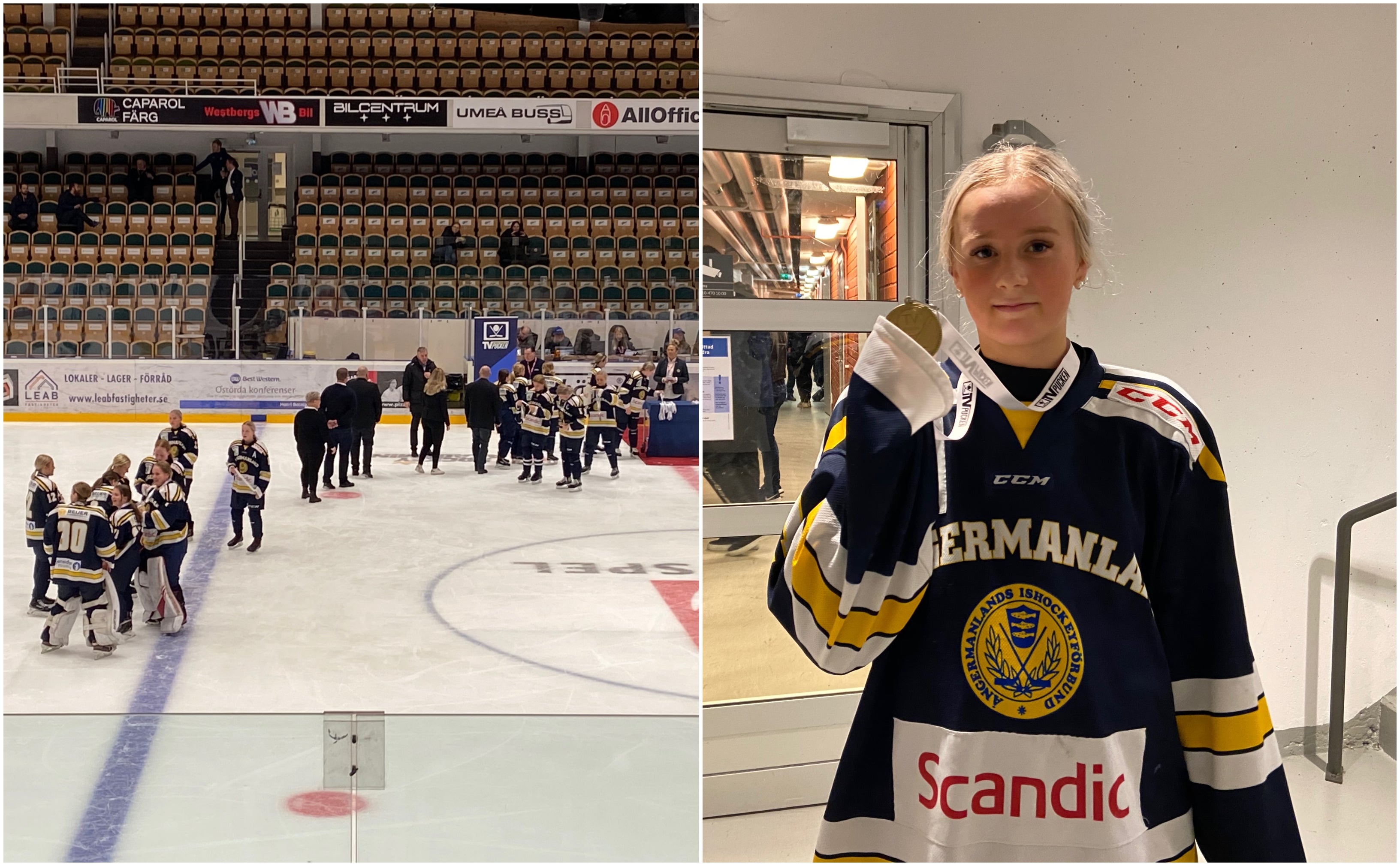 (16113) Ångermanland/Hallin