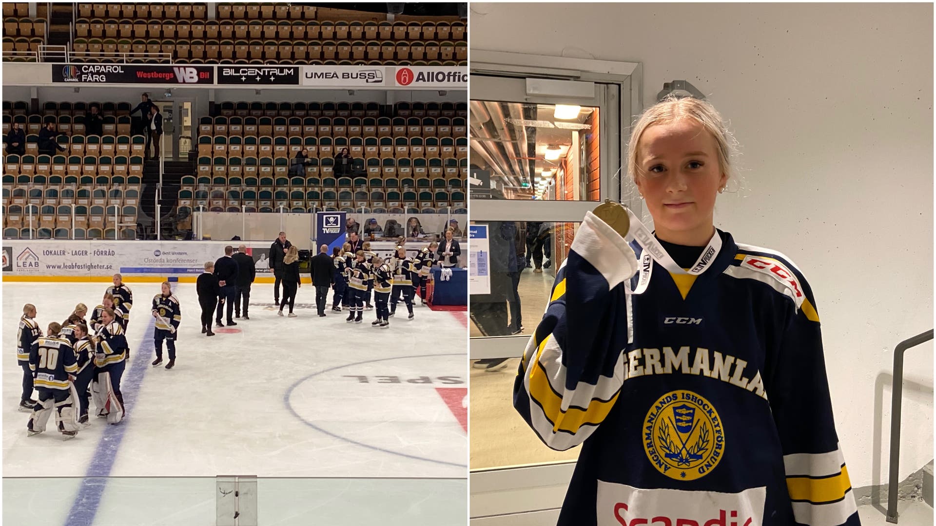 (16113) Ångermanland/Hallin