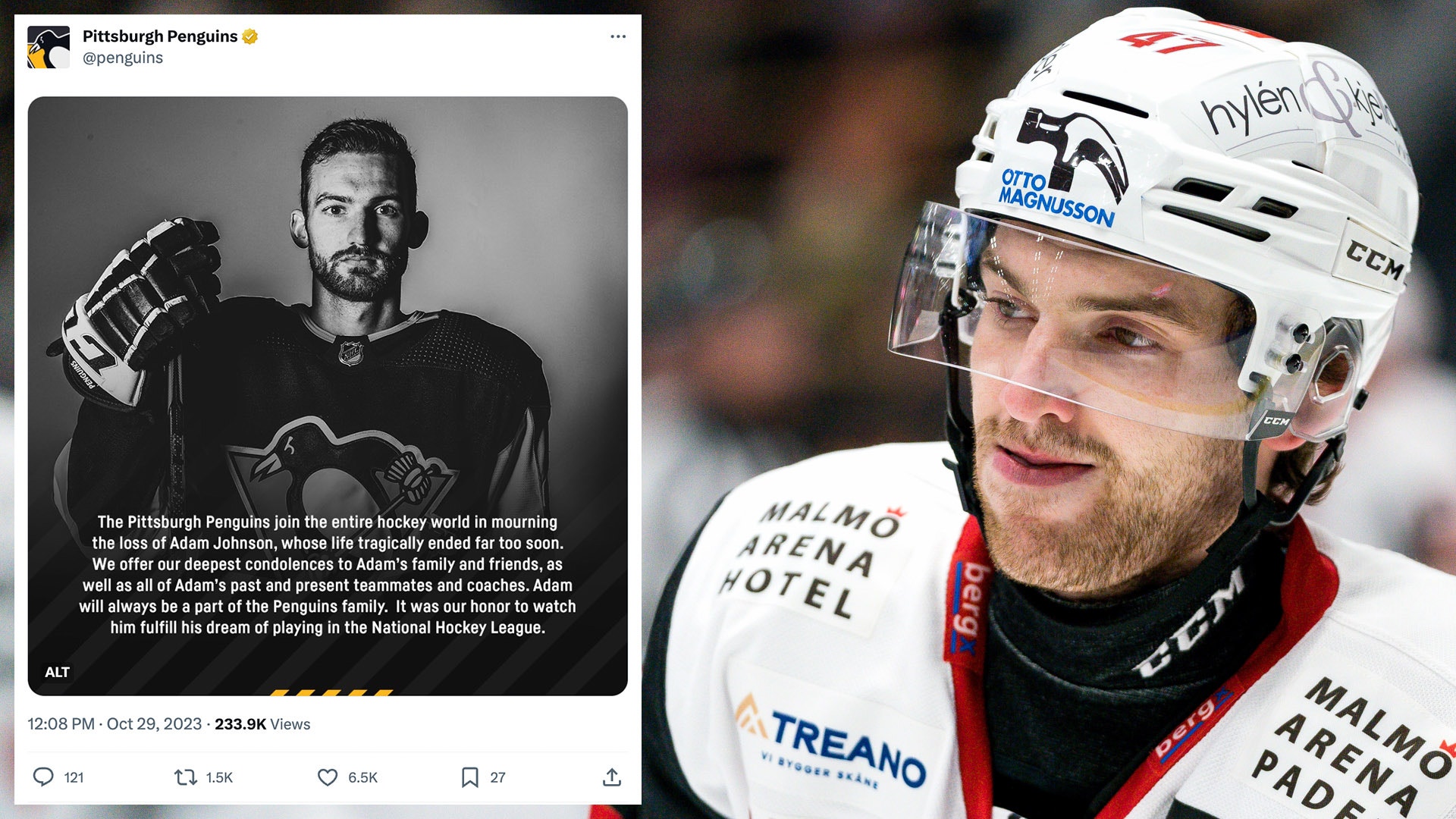 Bildbyrån och twitter.com/penguins