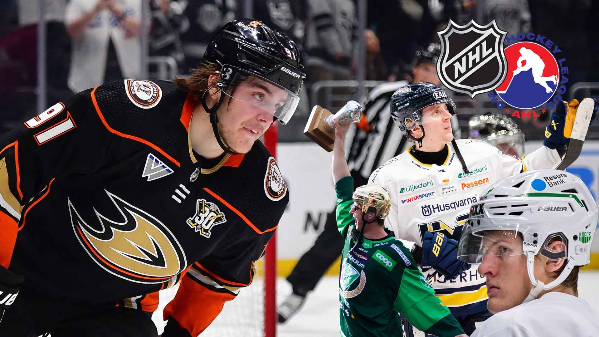 NHL, AHL, ECHL