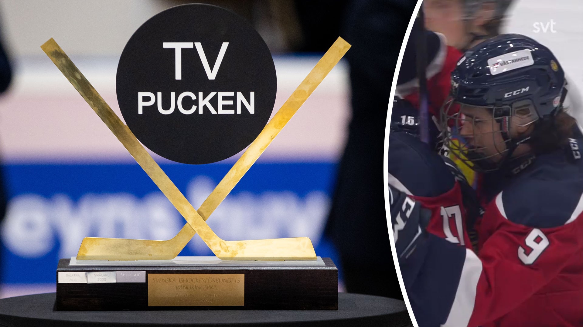 Bildbyrån/Skärmdump SVT (montage)