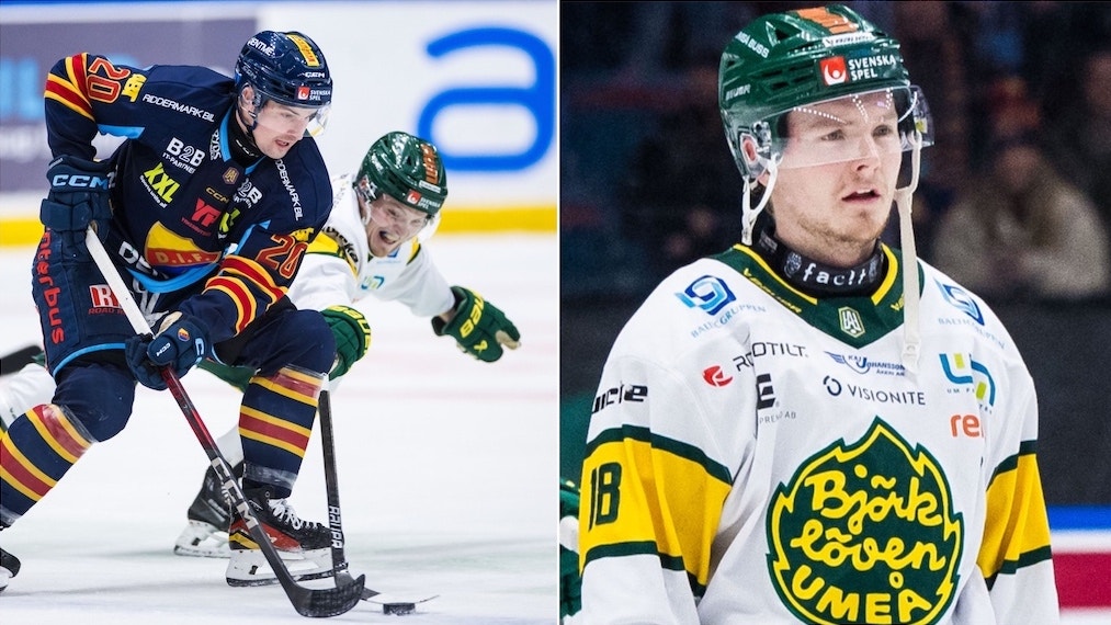 Foto: Kenta Jönsson/Bildbyrån