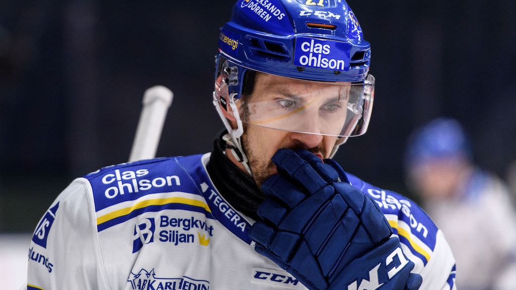 (16634) Marek Hrivik/Leksands IF