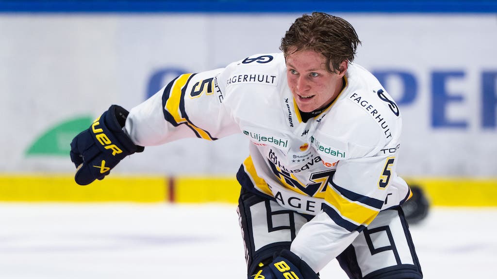 (25102) Victor Sjöholm HV71