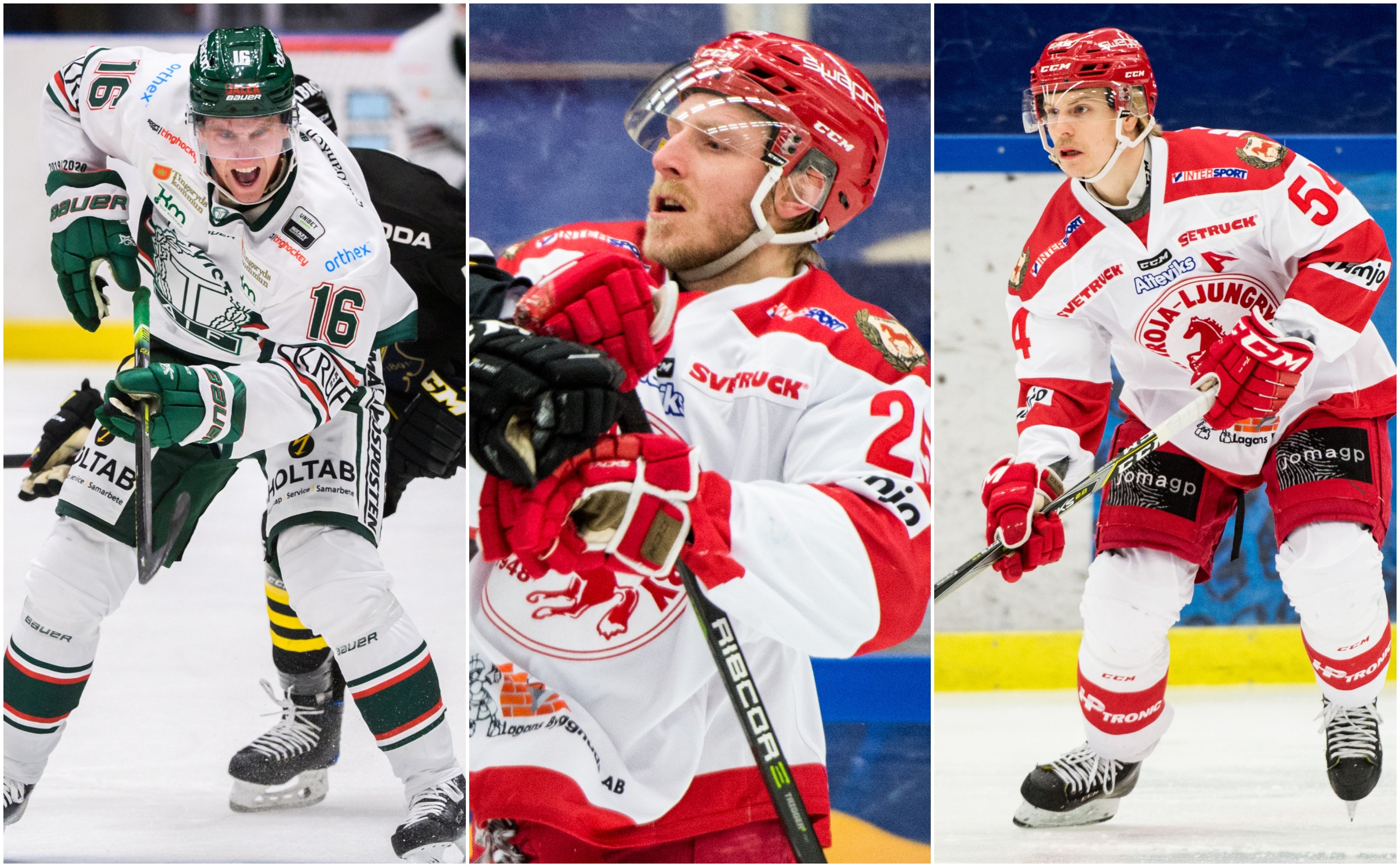 (14698) Herlevsvensker