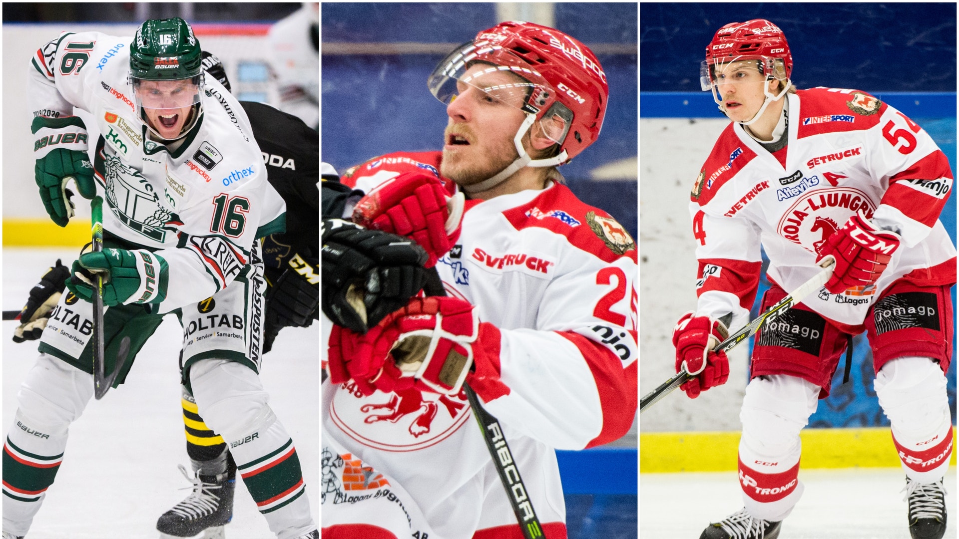 (14698) Herlevsvensker