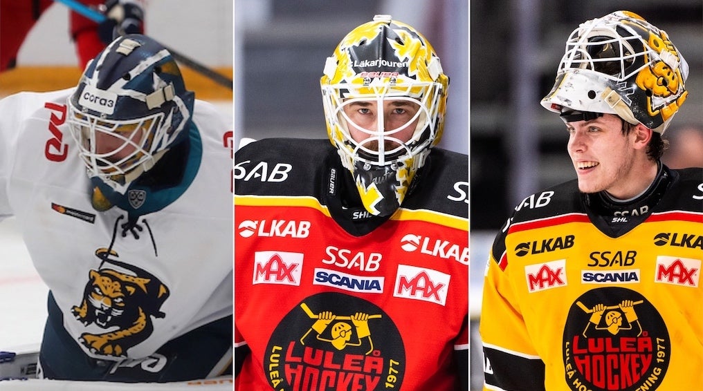 (c) photo.khl.ru Yury Kuzmin/Bildbyrån