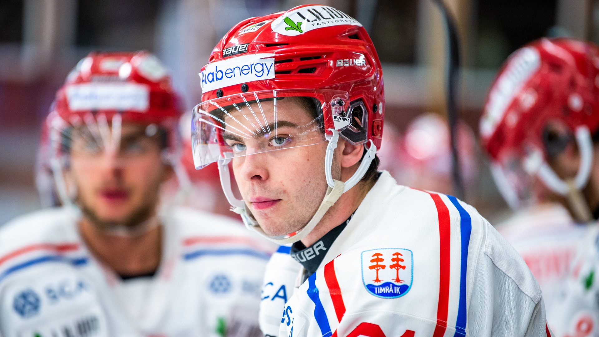 Daniel Nestor/Bildbyrån